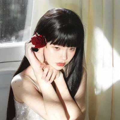红盾先锋